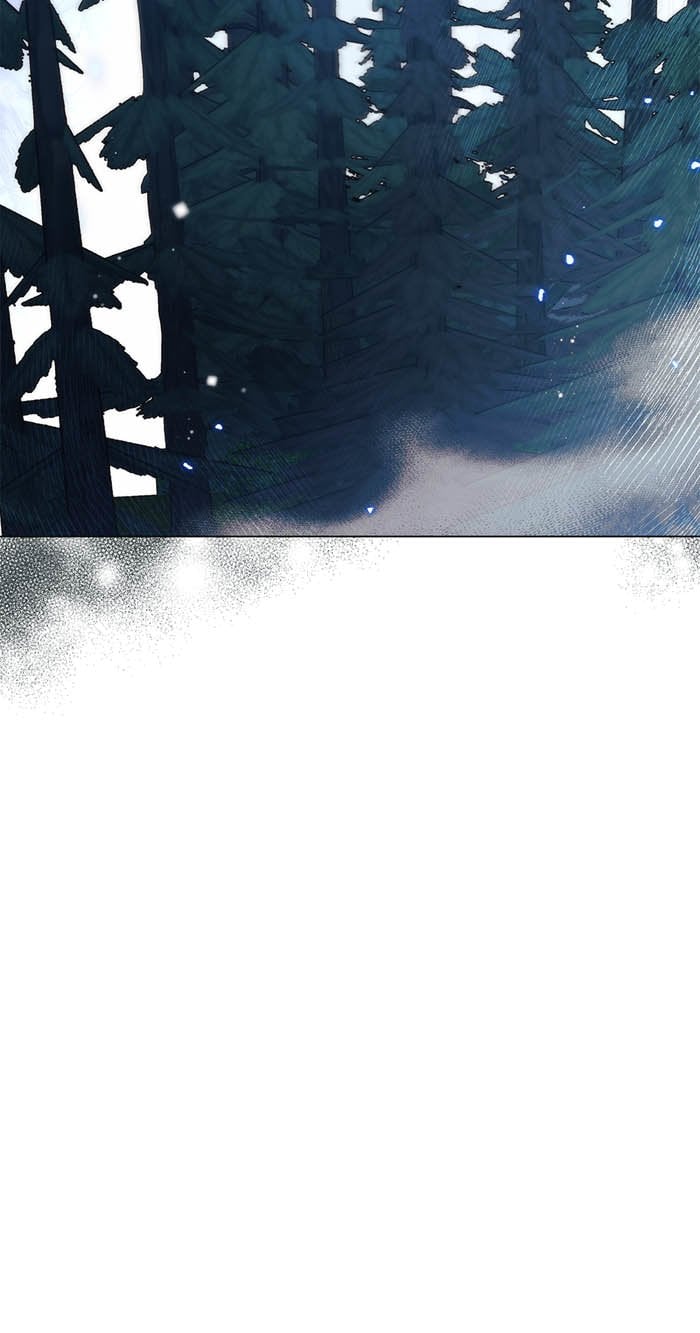 optimize (4)