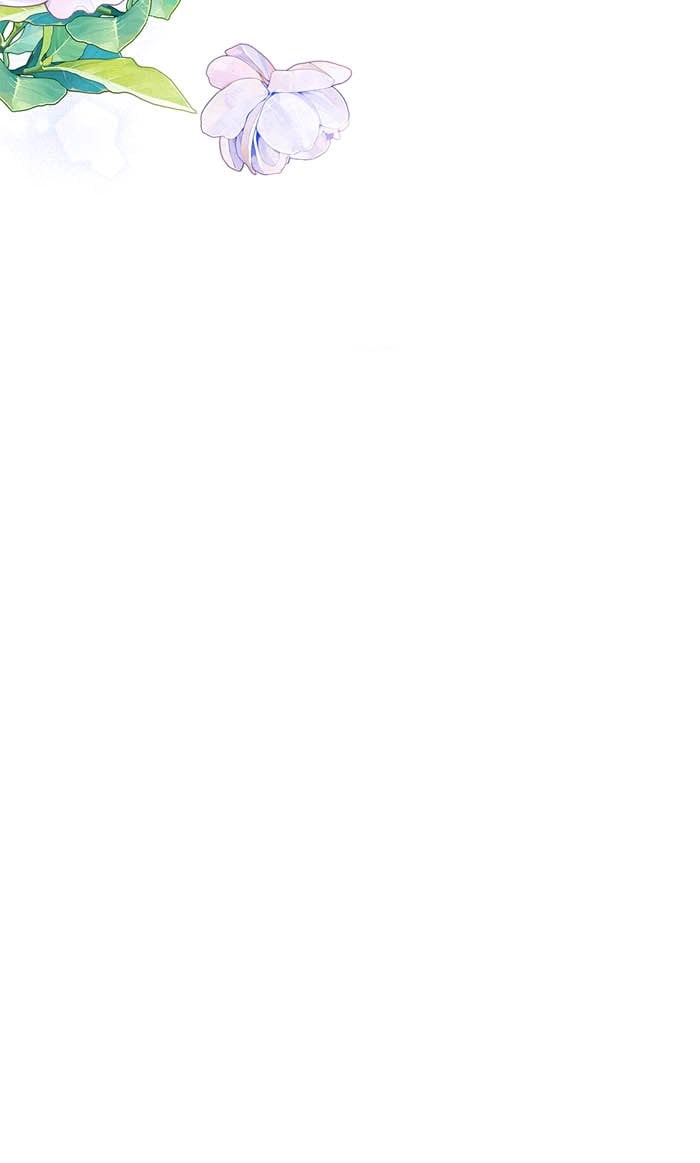 optimize (36)