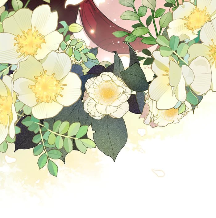 optimize (23)