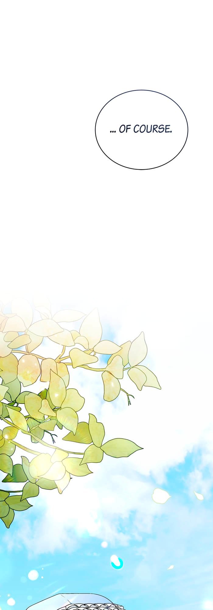 optimize (20)