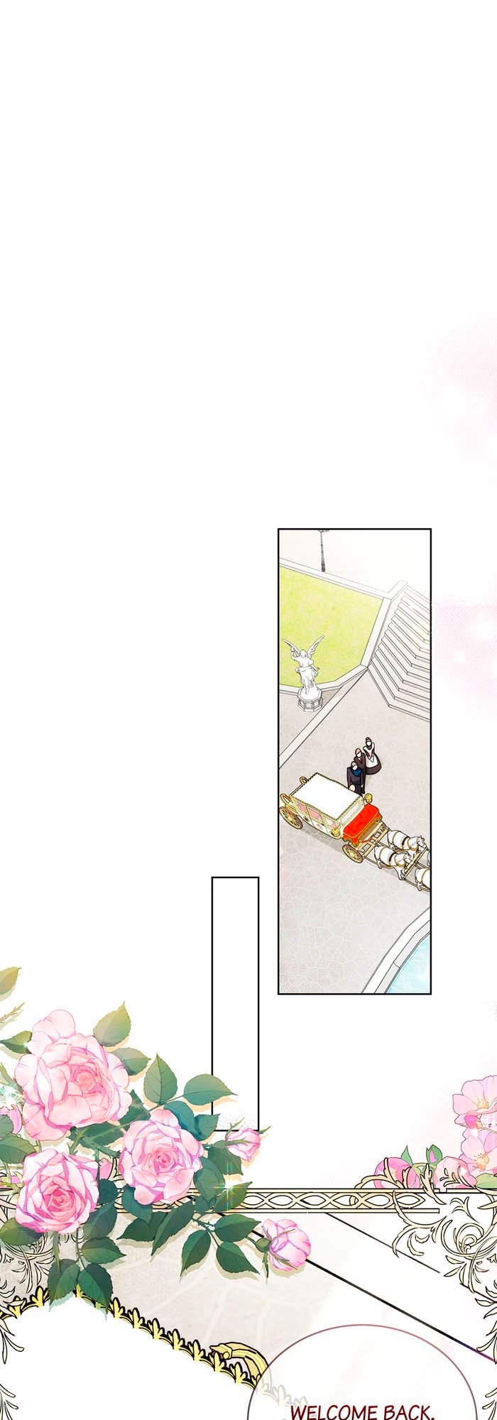 optimize (23)