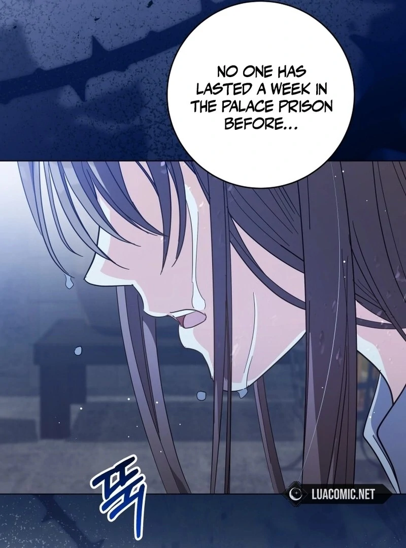 ch 54 81
