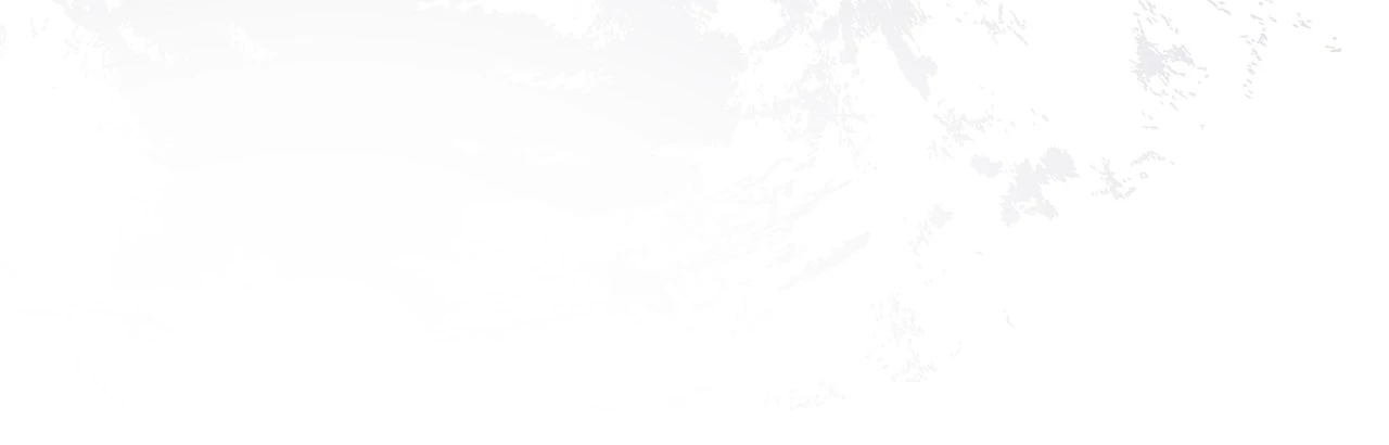 ch 41 20