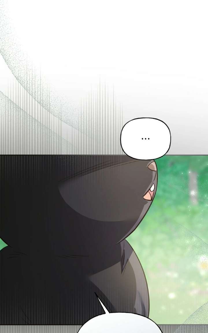 ch 100 1