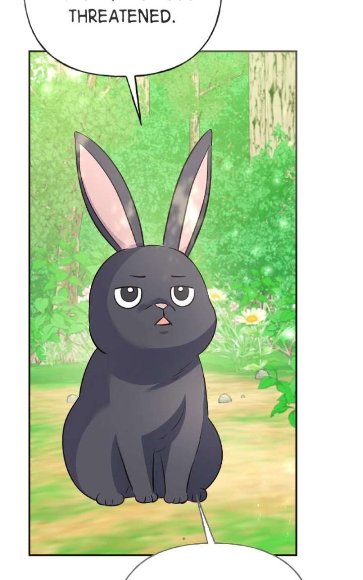 ch 100 10