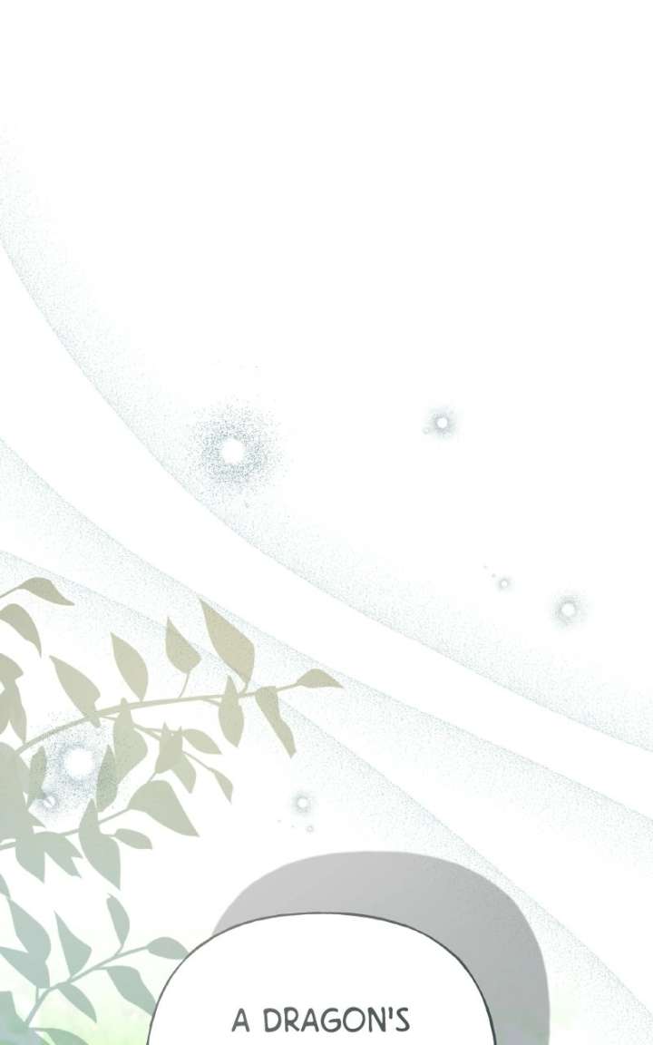 ch 100 13
