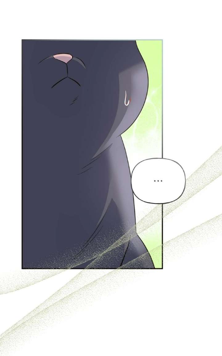 ch 100 25