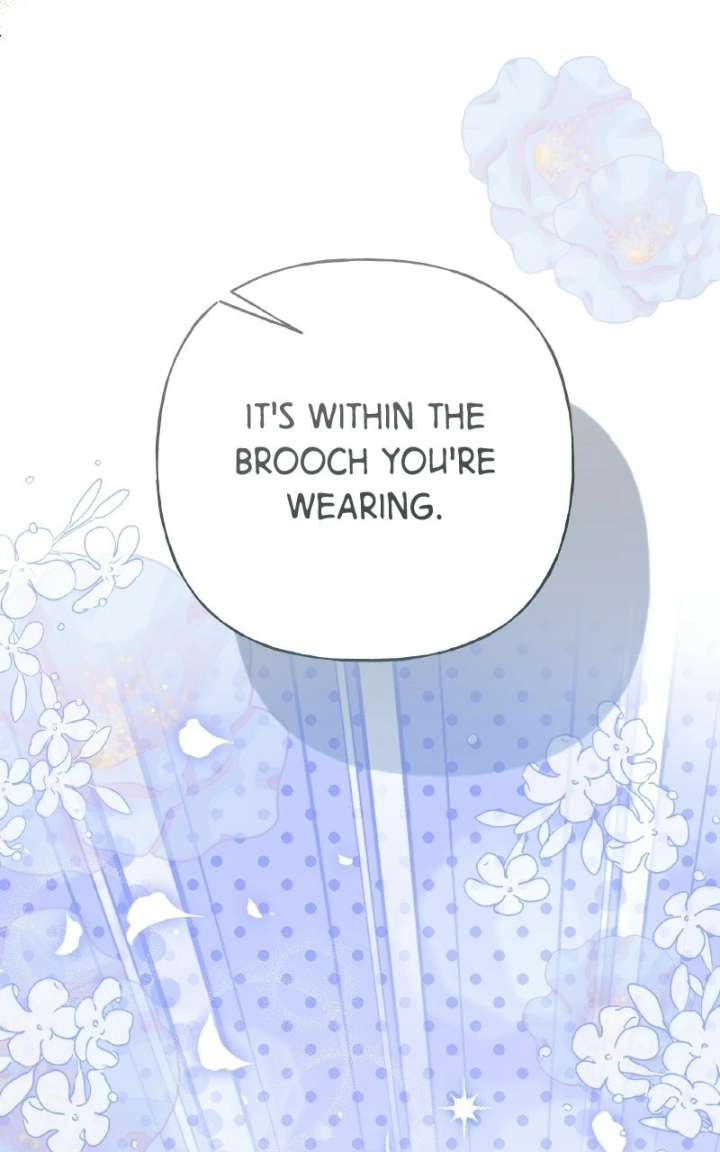 ch 100 26