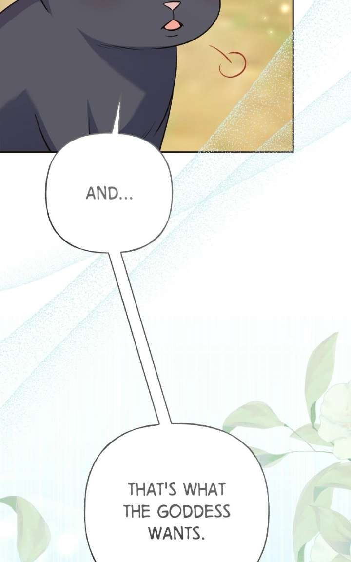 ch 100 46