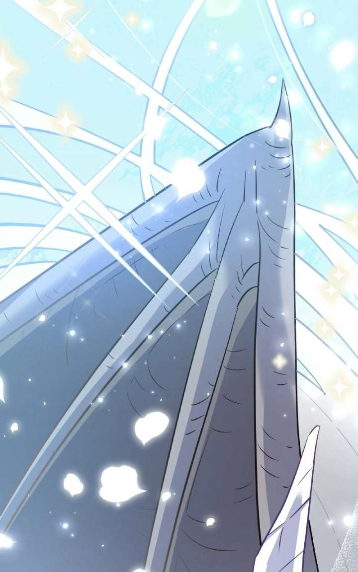 ch 100 57