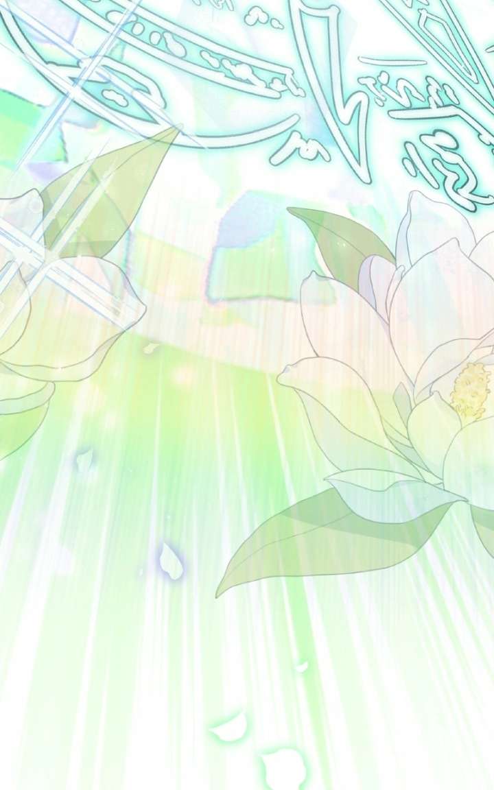 ch 100 64