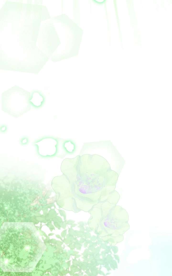ch 100 65