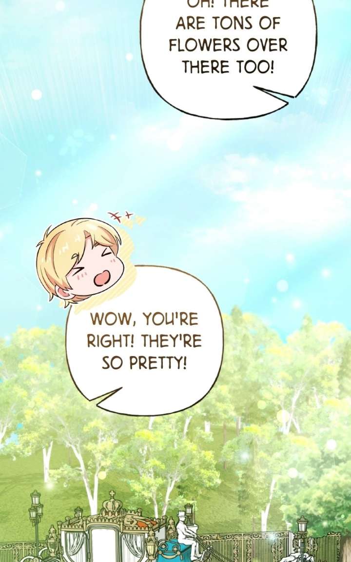 ch 102 106