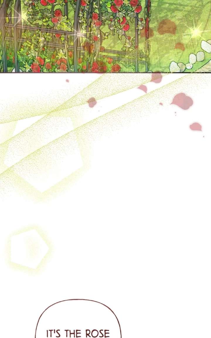 ch 102 108