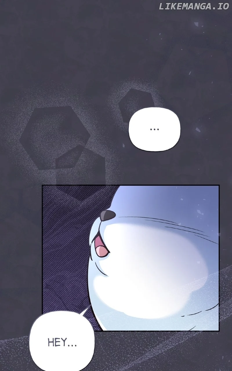 ch 43 19