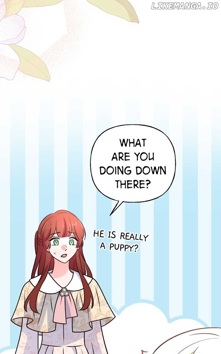 ch 50 109