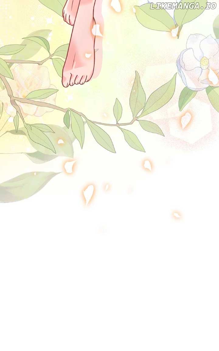 ch 51 80