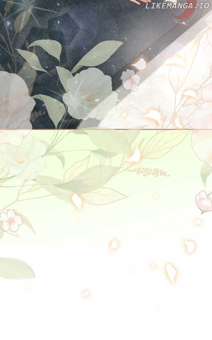 ch 55 100