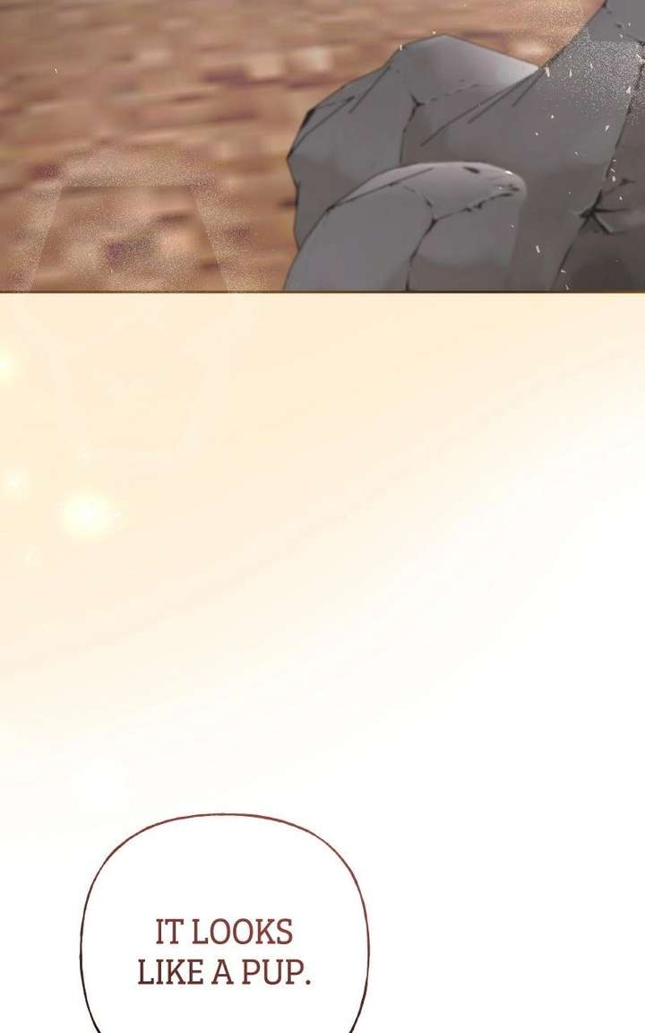 127