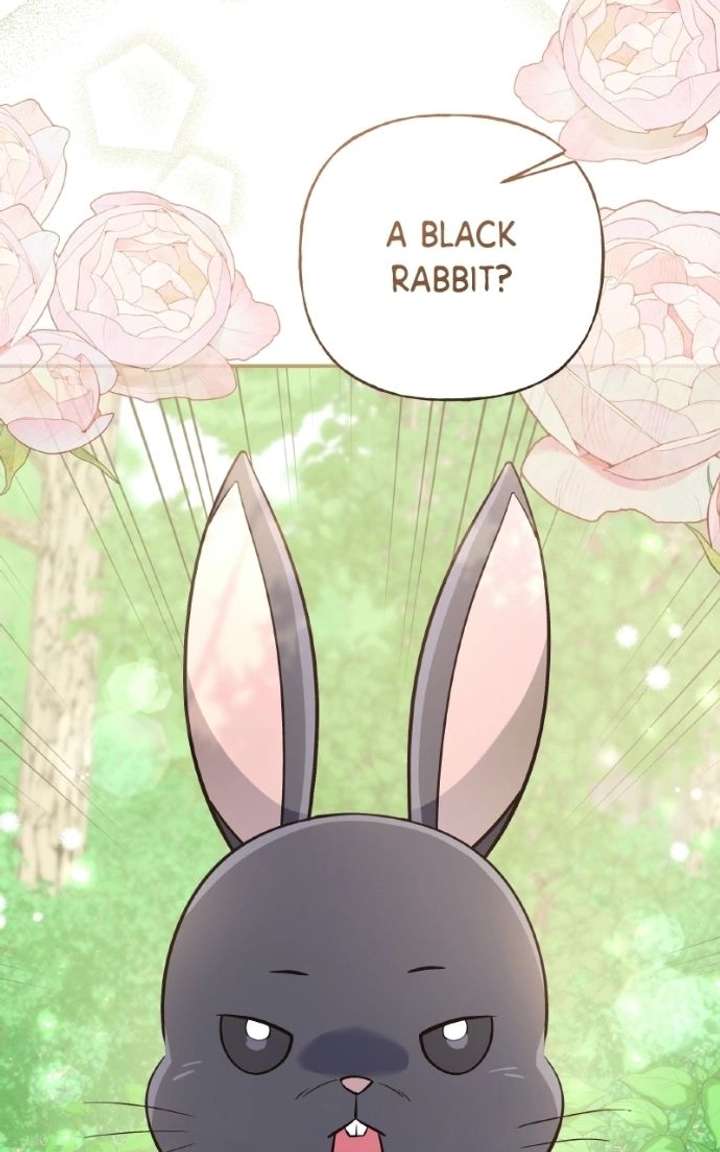 The Handmaiden Hates Childcare Chapter 99 548 125