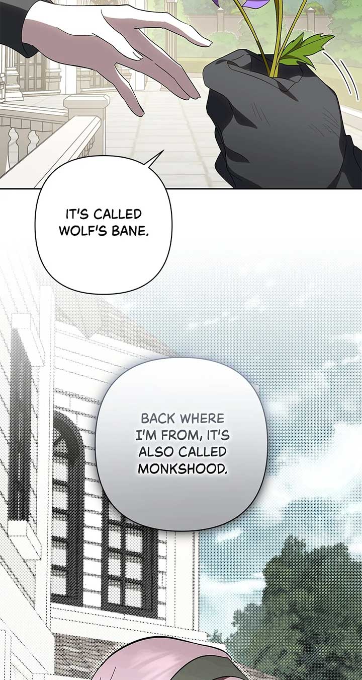 ch 56 88