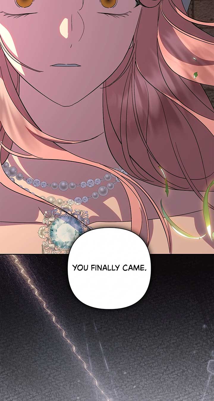 ch 65 3