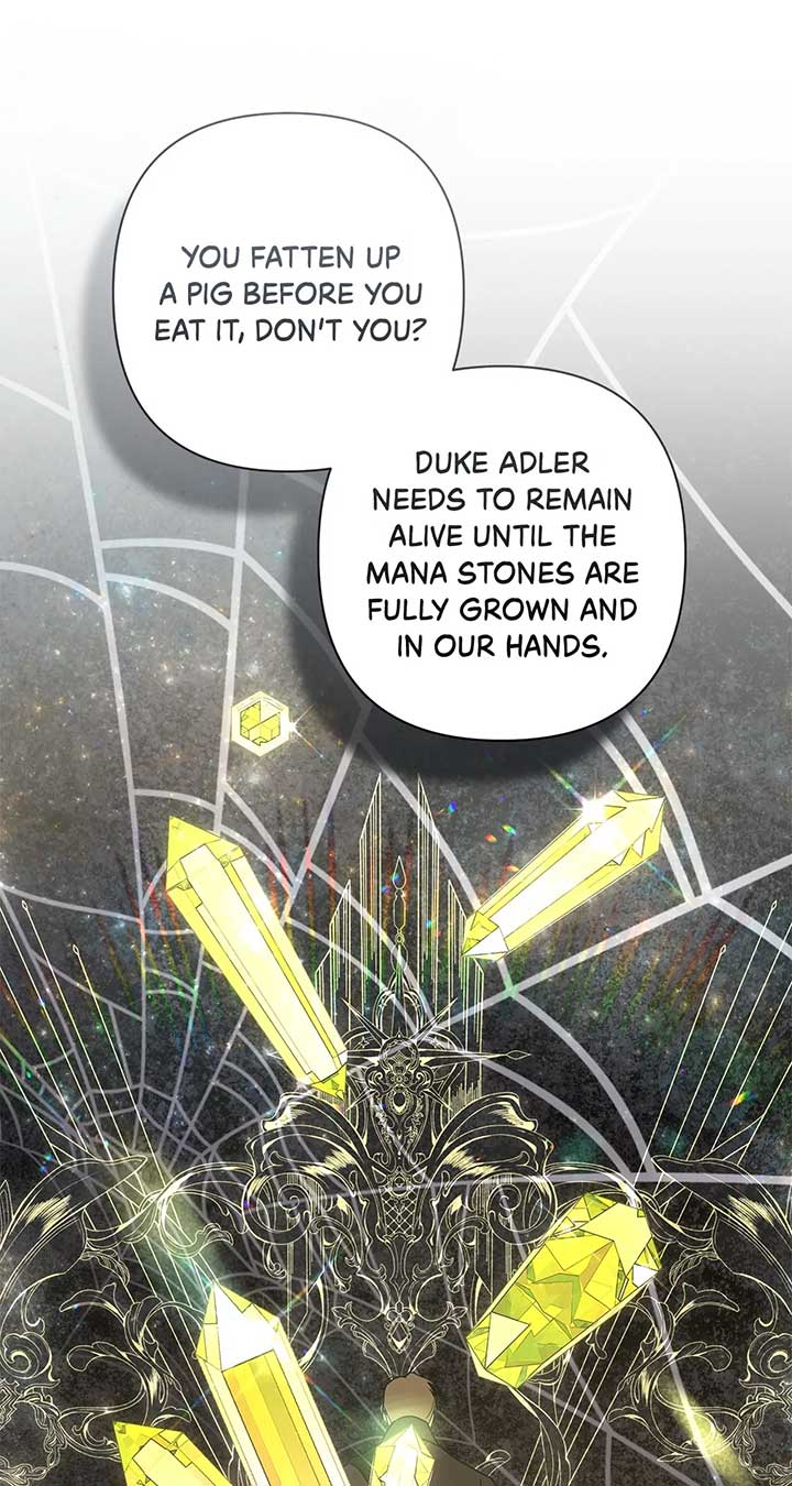 ch 65 43