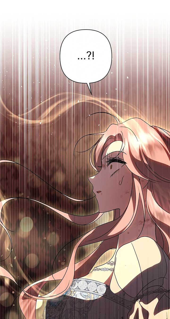 ch 65 81