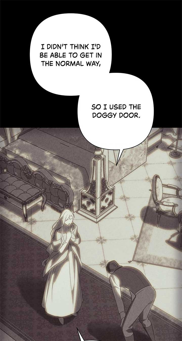 ch 66 13