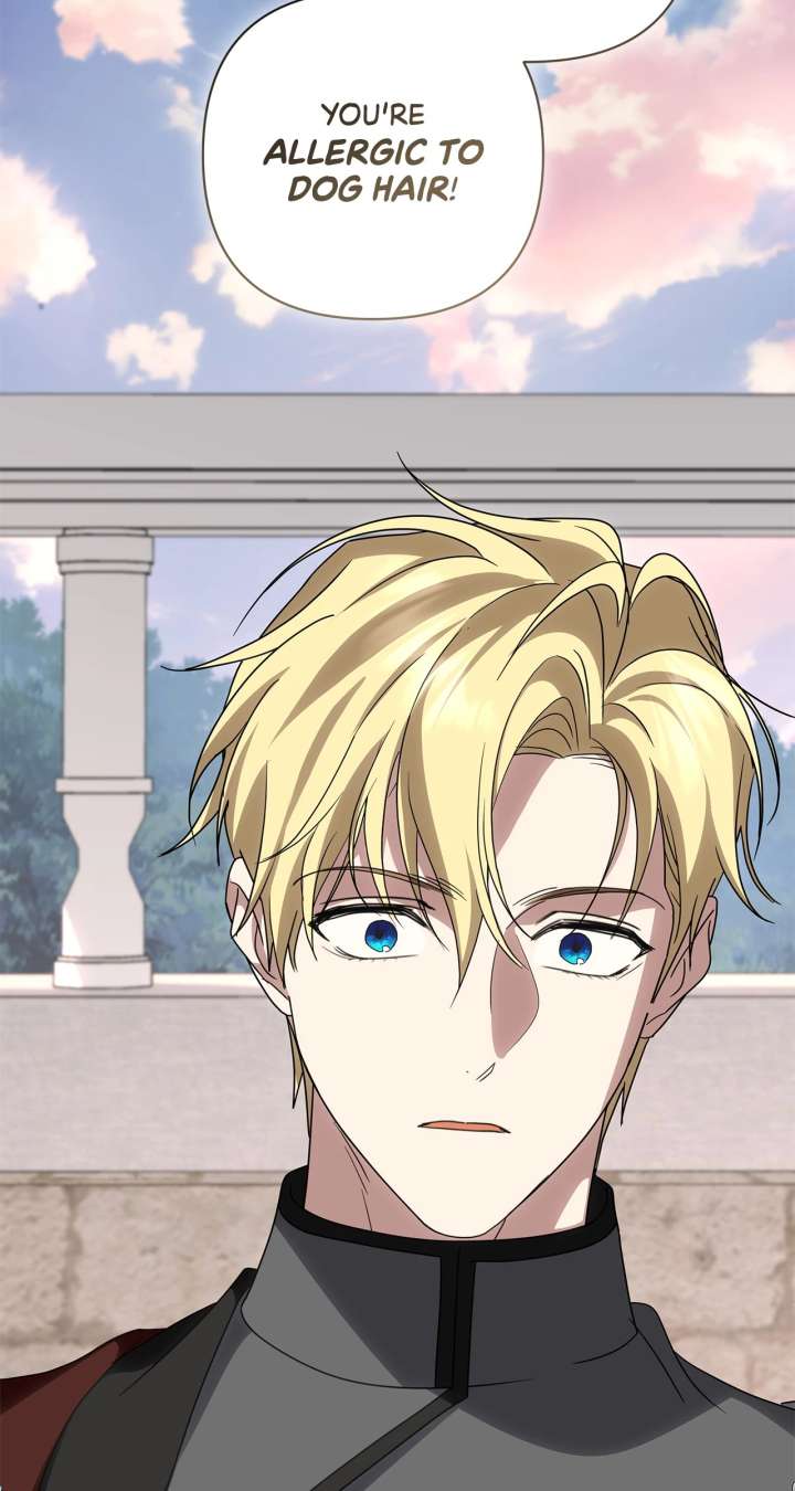 It Was Love at First Sight, Mr. Villain! Chapter 71 261 08