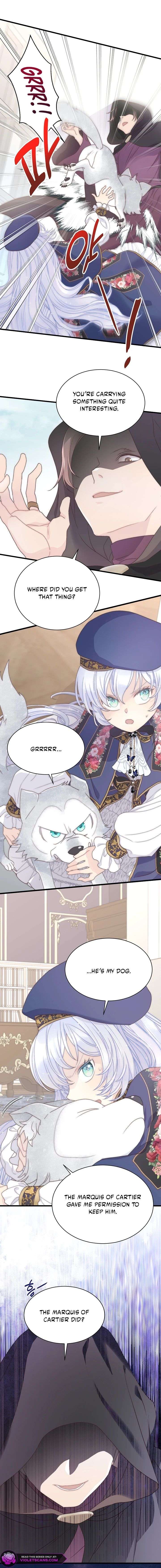 ch 66 17