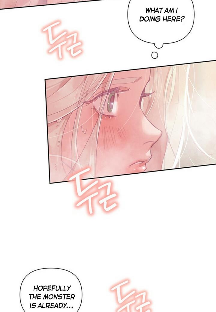 81