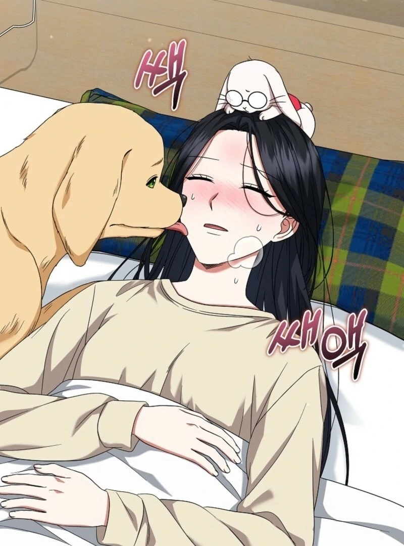 ch 66 20