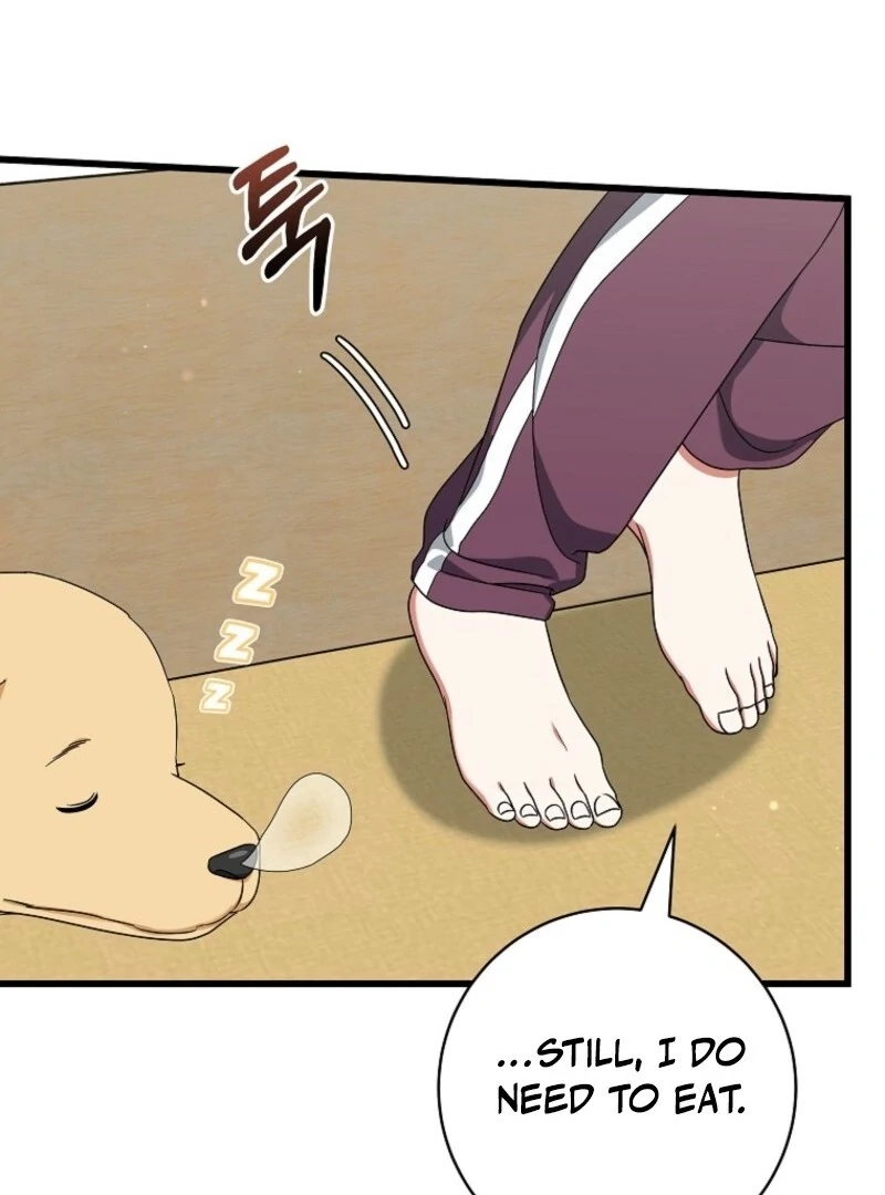 ch 66 47