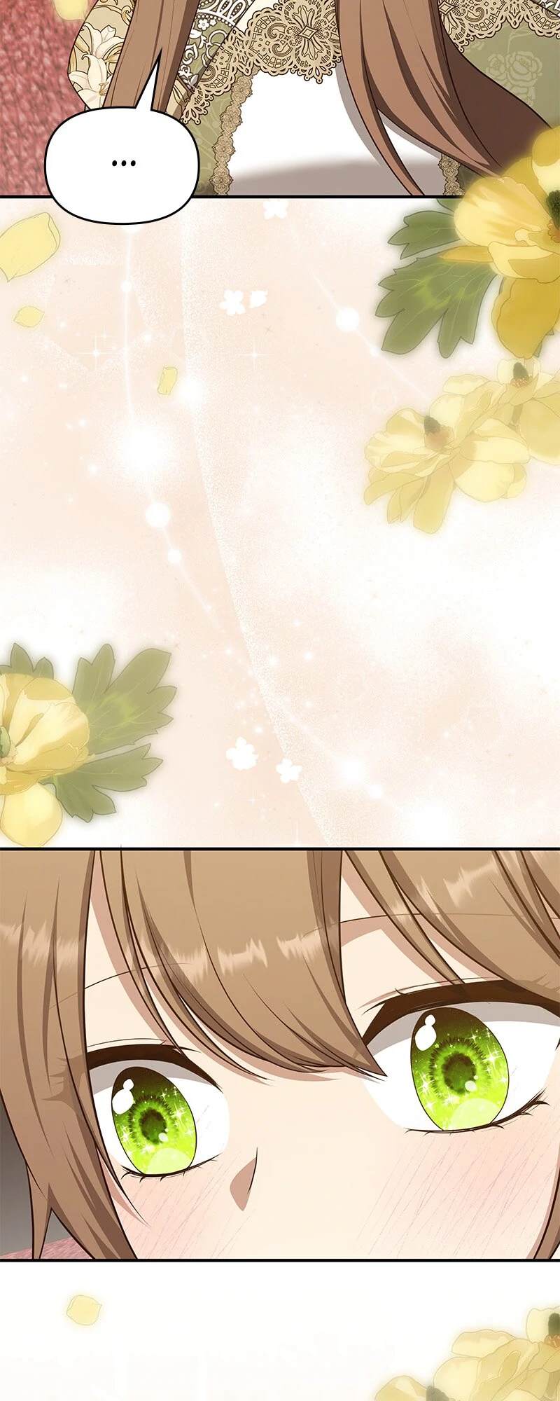 ch 66 19