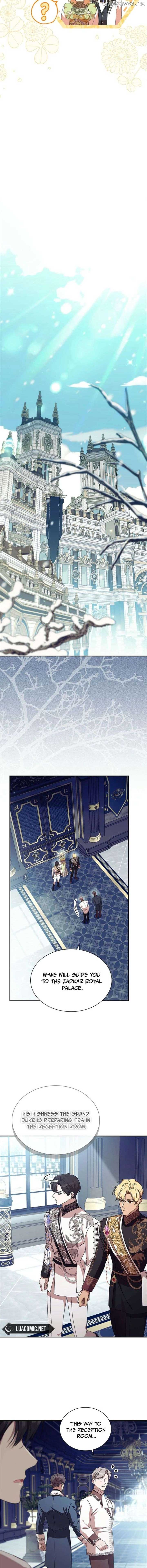 ch 213 17