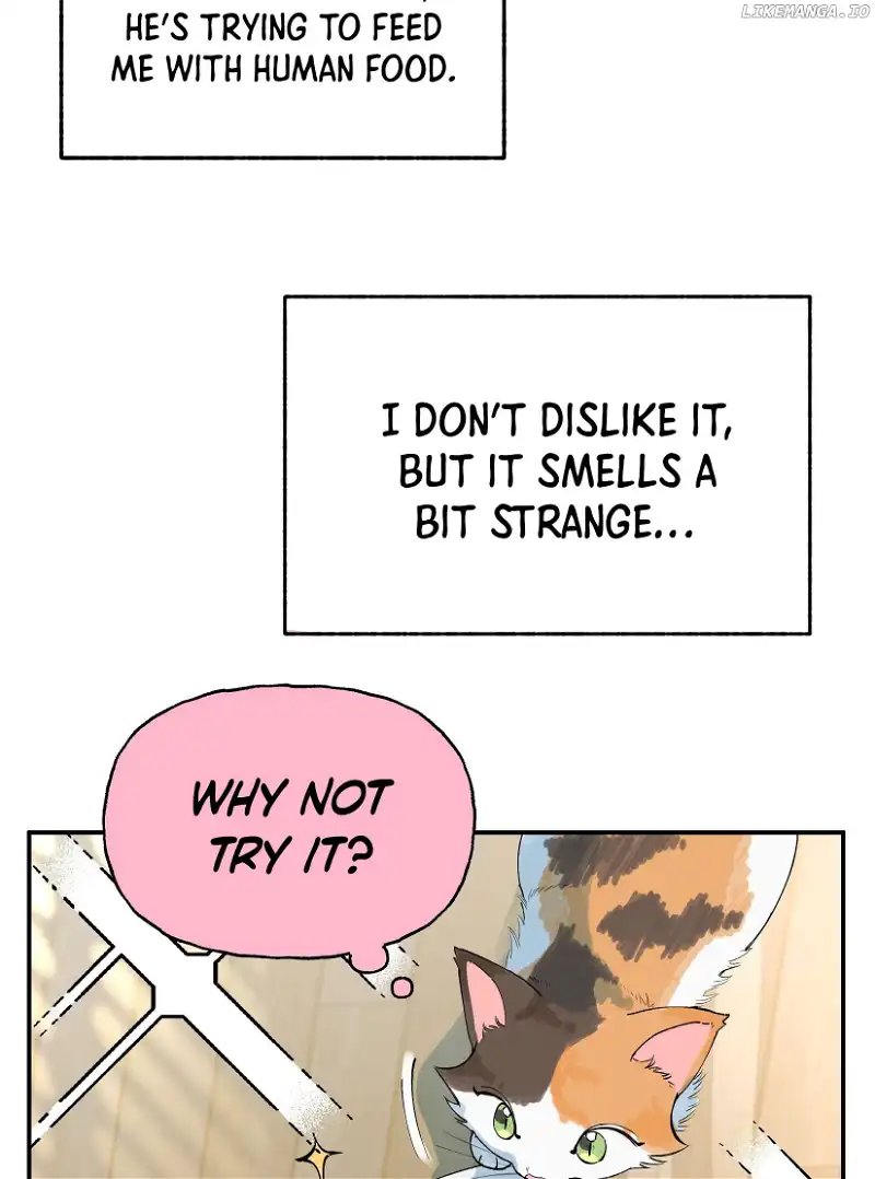 Will you expose yourself today?! Chapter 16.1 29 004