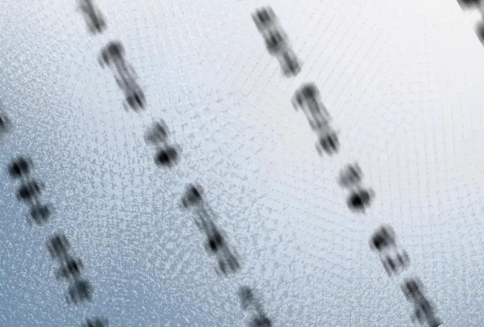 Will you expose yourself today?! Chapter 45 447 ch 45 56