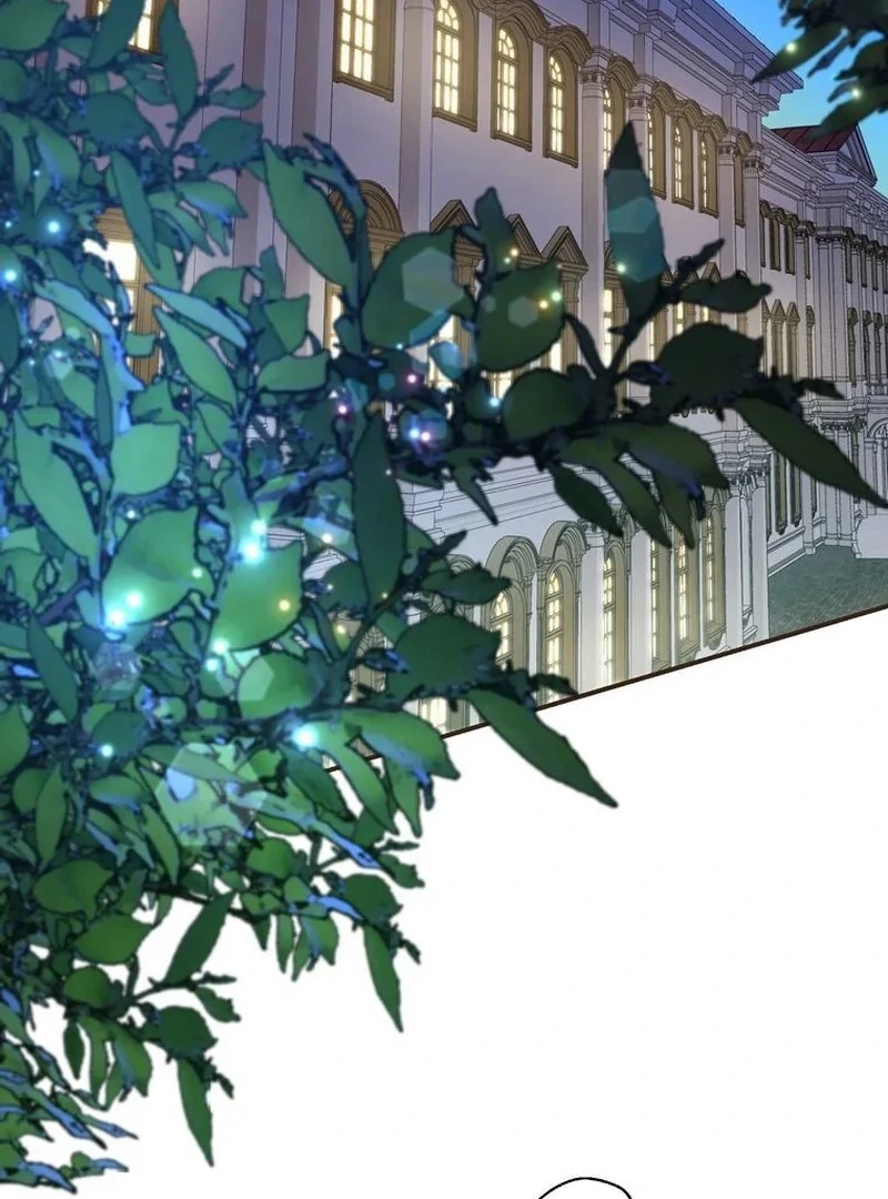 ch 11 63