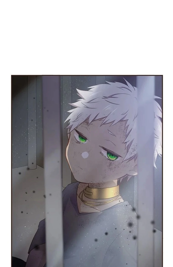 ch 14 21