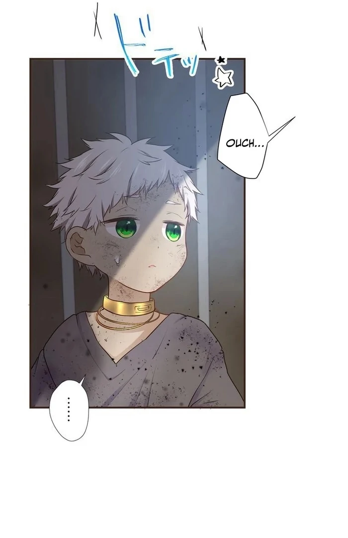 ch 14 29