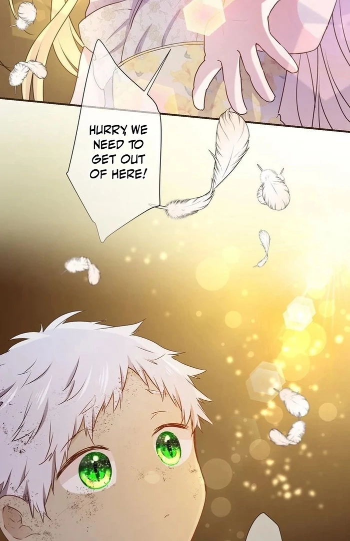 ch 14 33