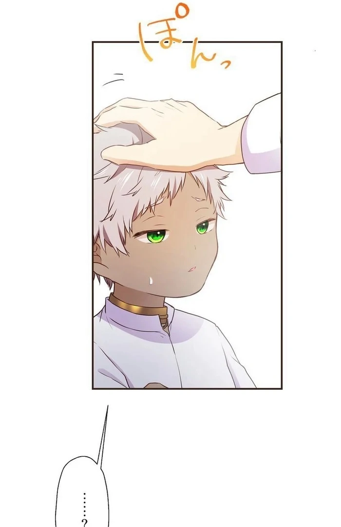 ch 14 75