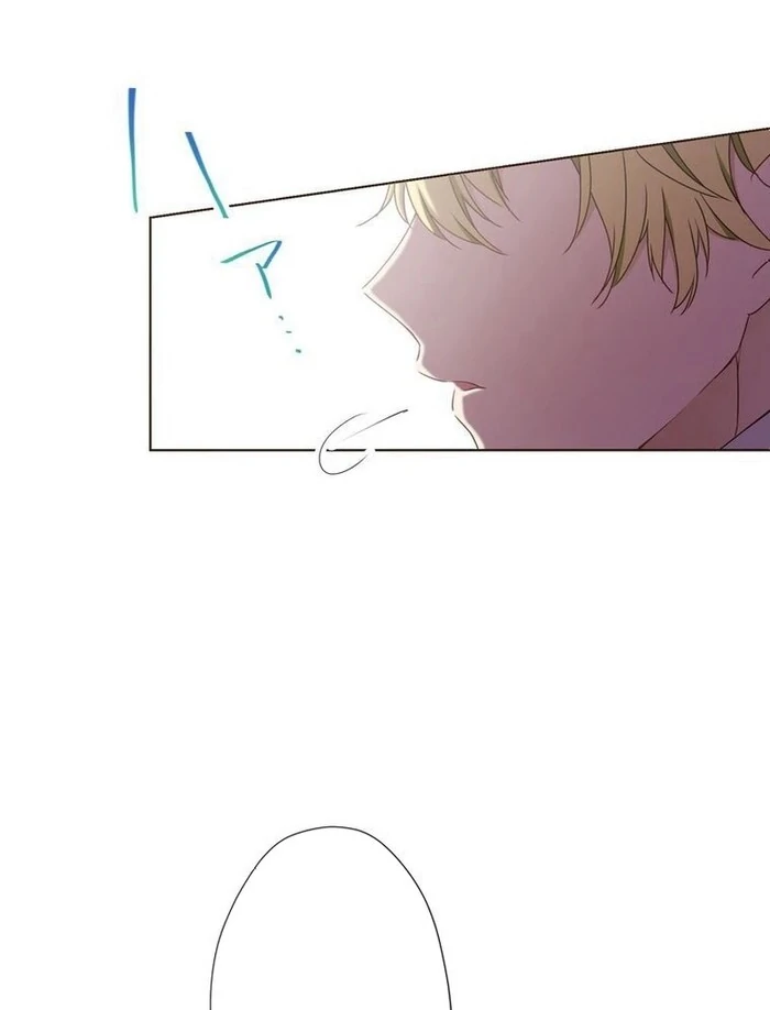 ch 15 17