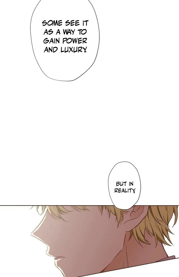 ch 15 44