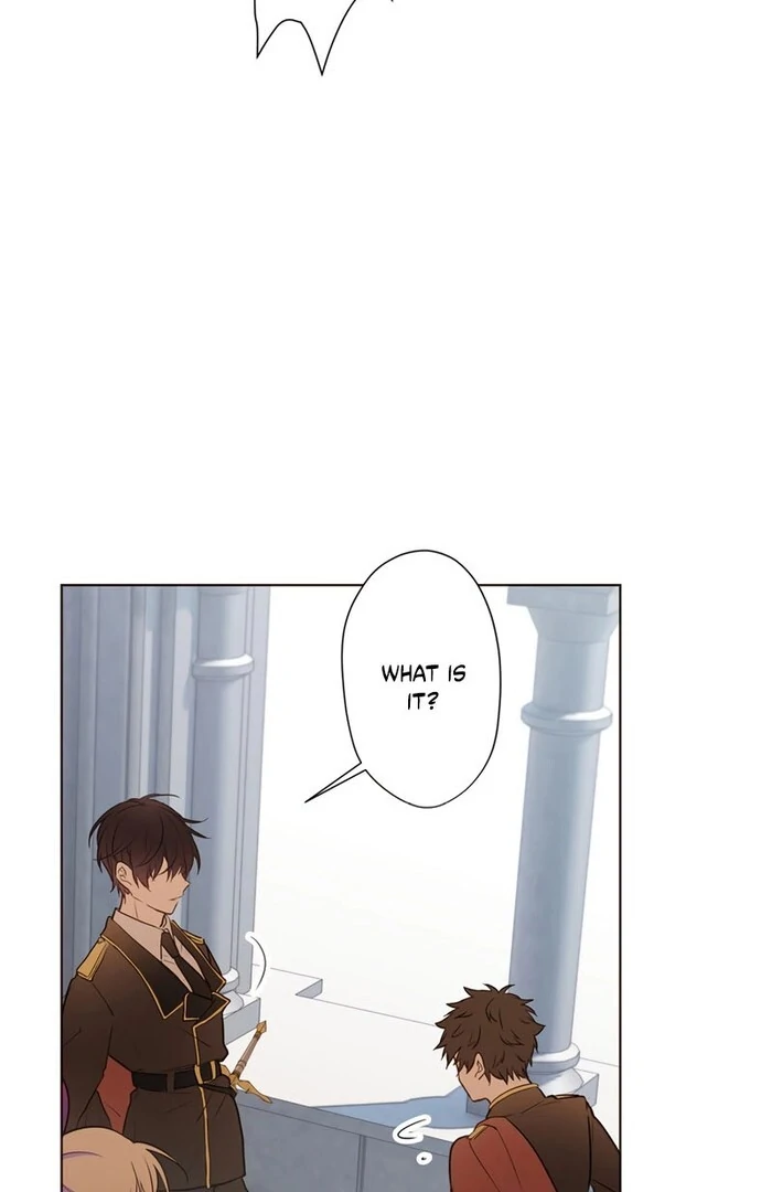 ch 16 61