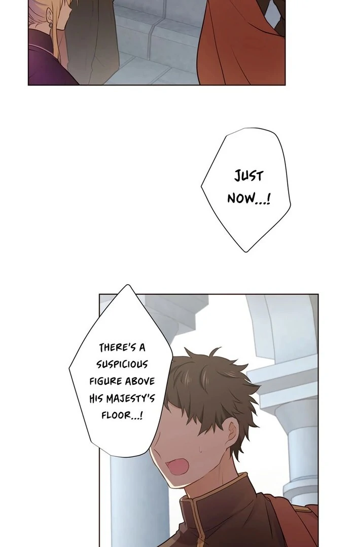 ch 16 62