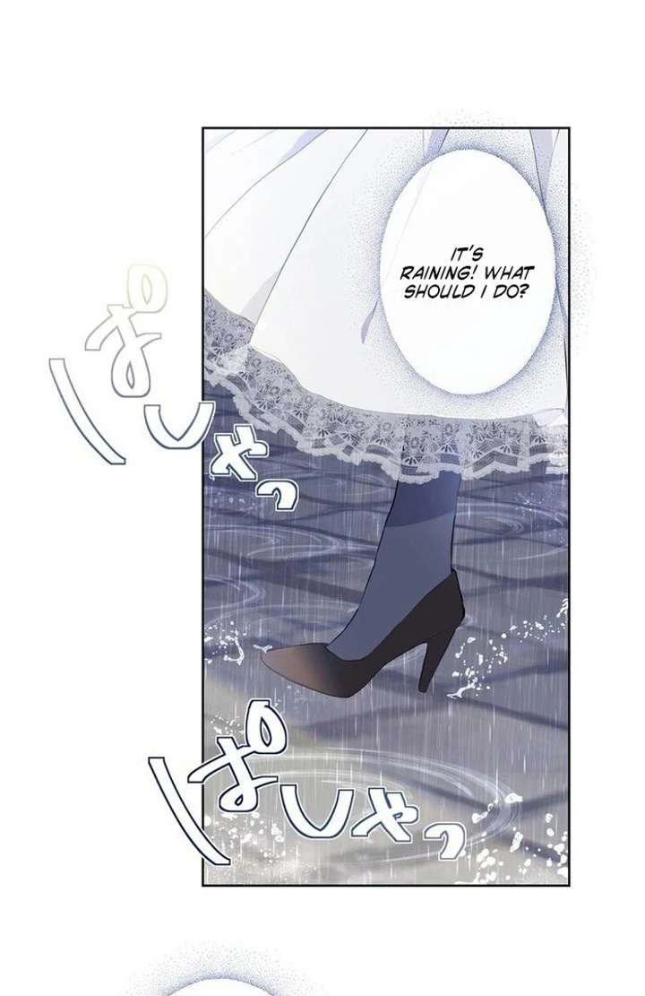 81