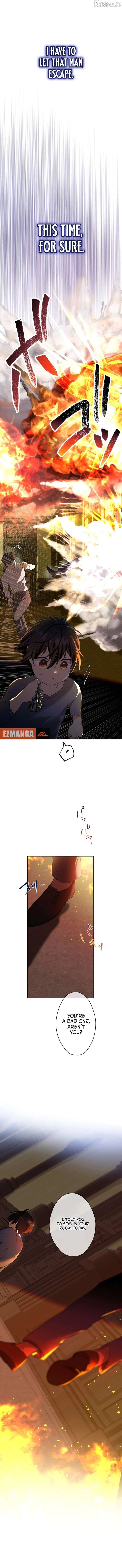 ch 42 8