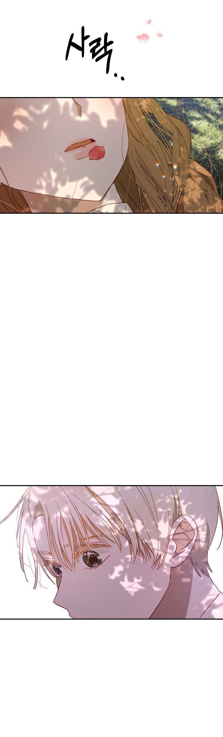 Divorce plan with husband failed Chapter 31 187 036